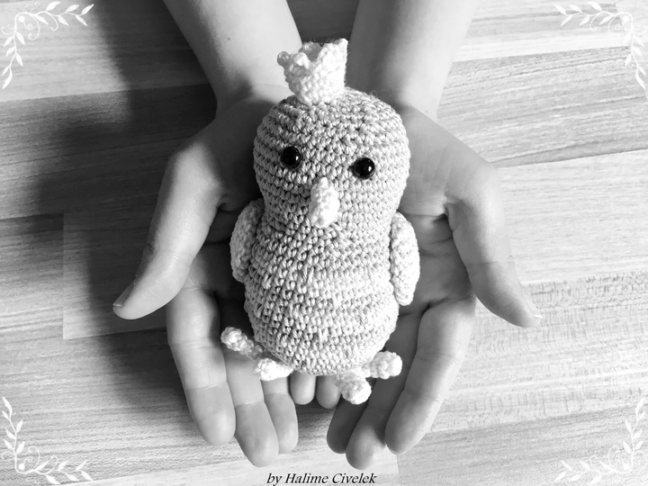 Vögelchen "Piepsi Piep"