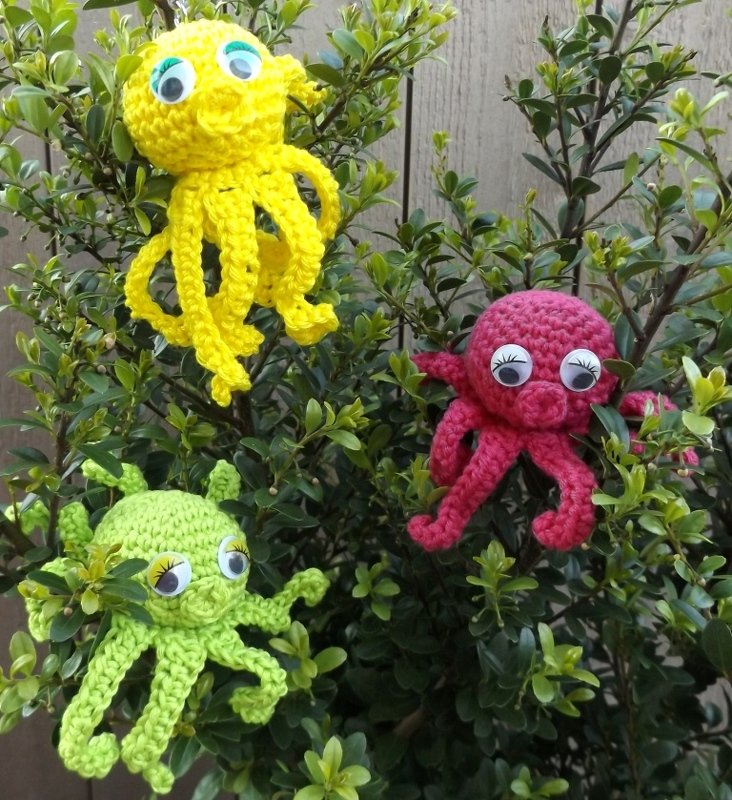 Drei gehäkelte Kraken (Gelb, Grün, Pink) mit Wackelaugen zwischen den Blättern eines Busches.