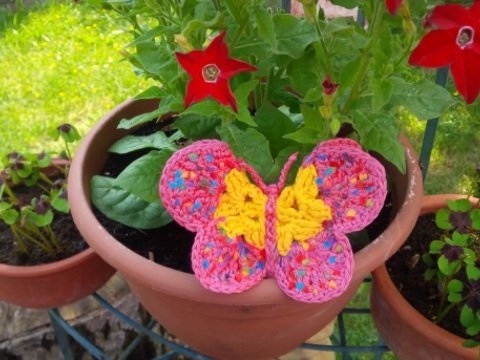 Schmetterling - groß