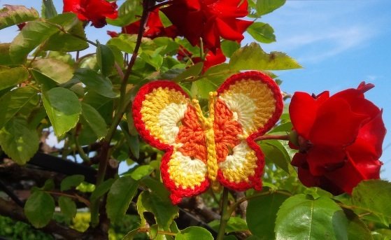 Schmetterling - klein