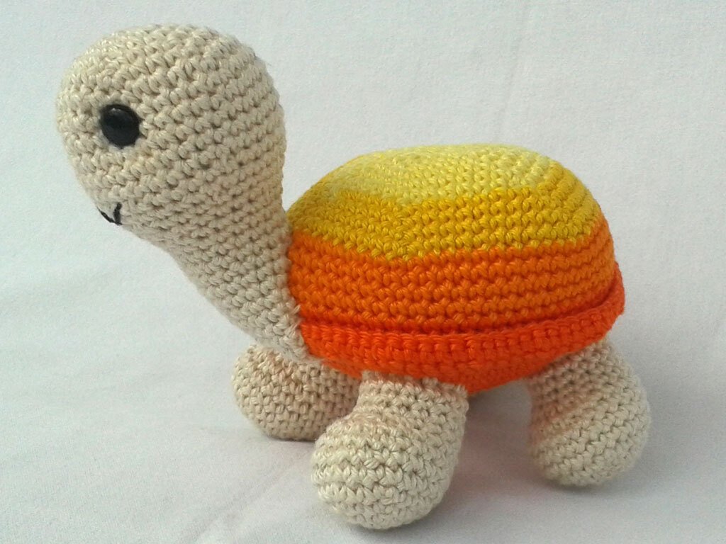 Schildkröte - Bild 3