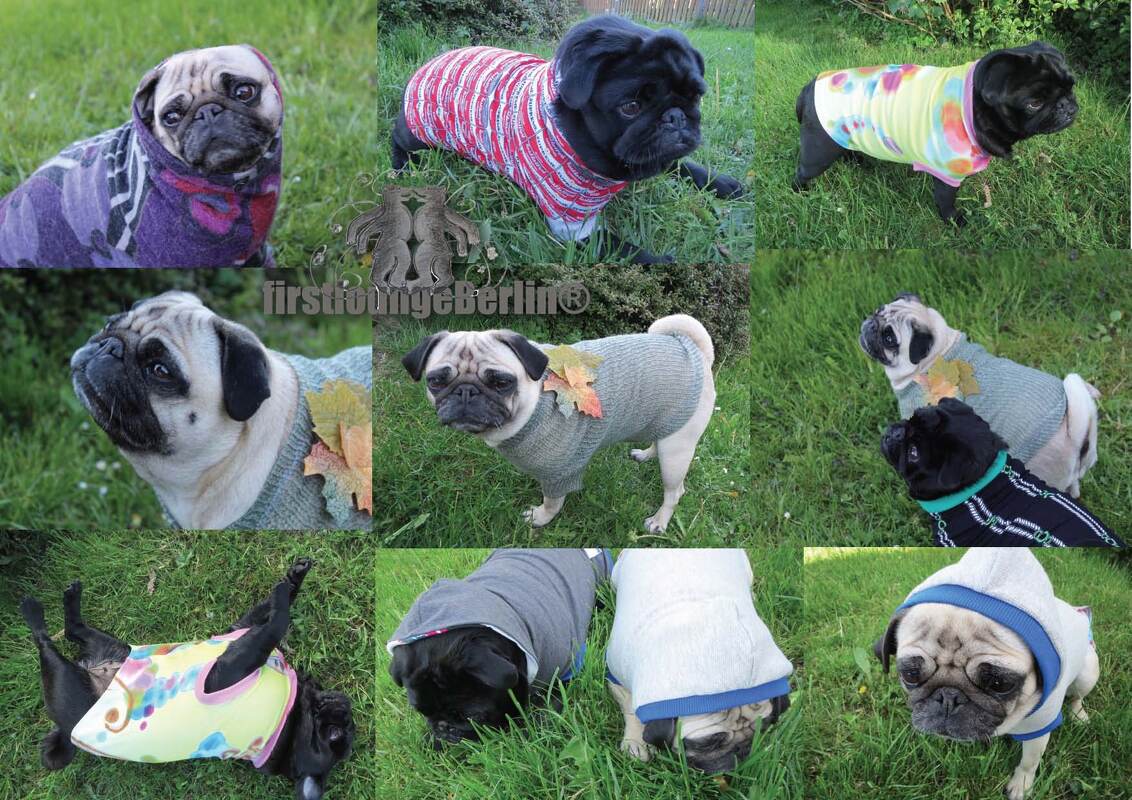 US-Doggy *** E-Book PDF Dog Sweater custom made sewing instruction for every dog-make your own patterns - Design with Love firstloungeberlin - Image 7