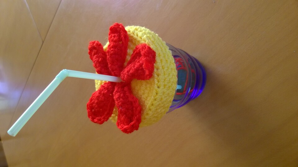 Ajontes Insektenschutzhut