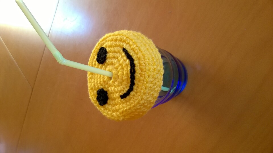 Ajontes Insektenschutzhut