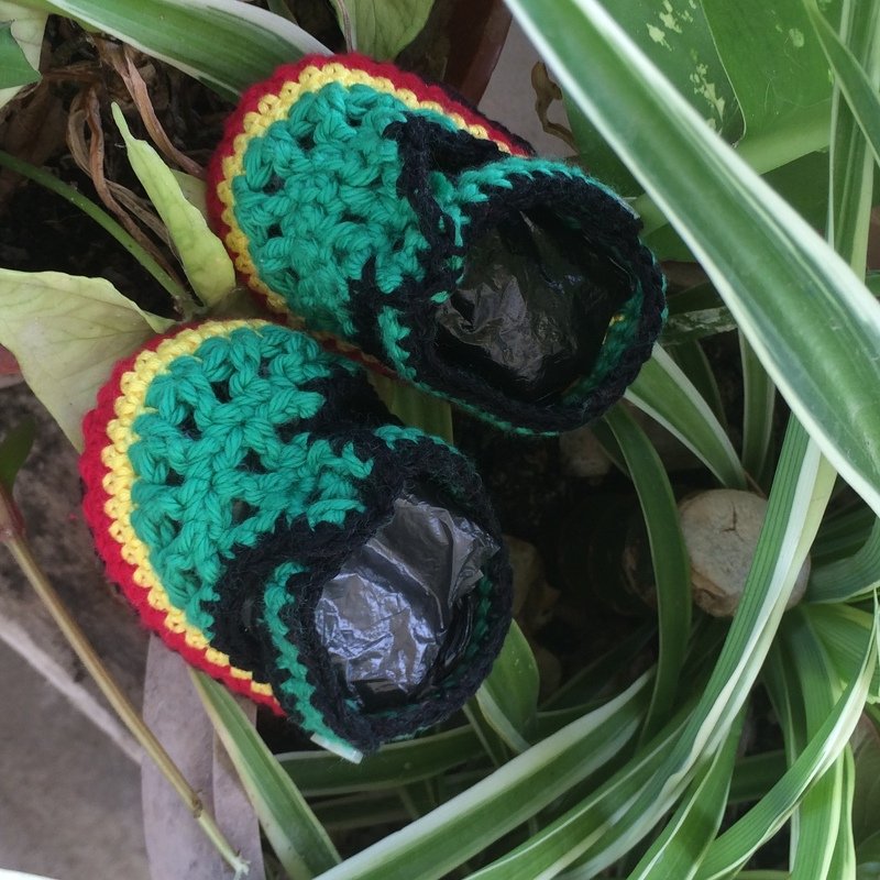 Pair of small multicolored crocheted baby booties in green, black, red and yellow tucked among houseplant leaves