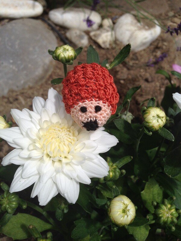 Nahaufnahme einer gehäkelten Pilzfigur mit roter Kappe und rosa Gesicht zwischen weißen Blütenknospen.