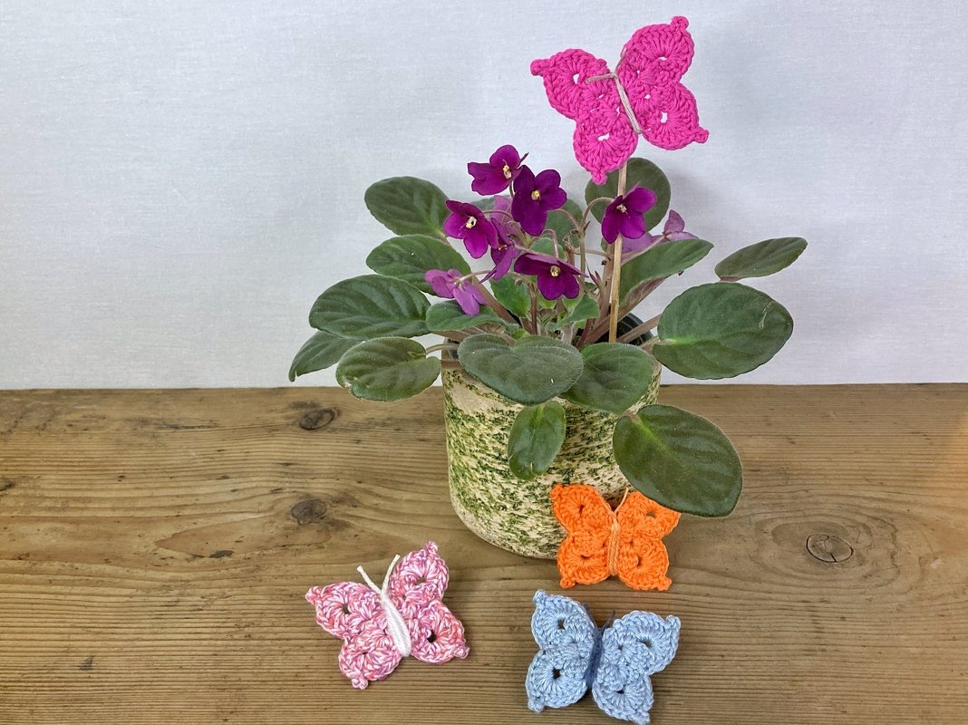 Gehäkelte Schmetterlinge in Pink, Rosa, Orange und Hellblau dekorieren eine Topfpflanze und liegen auf einem Holztisch.