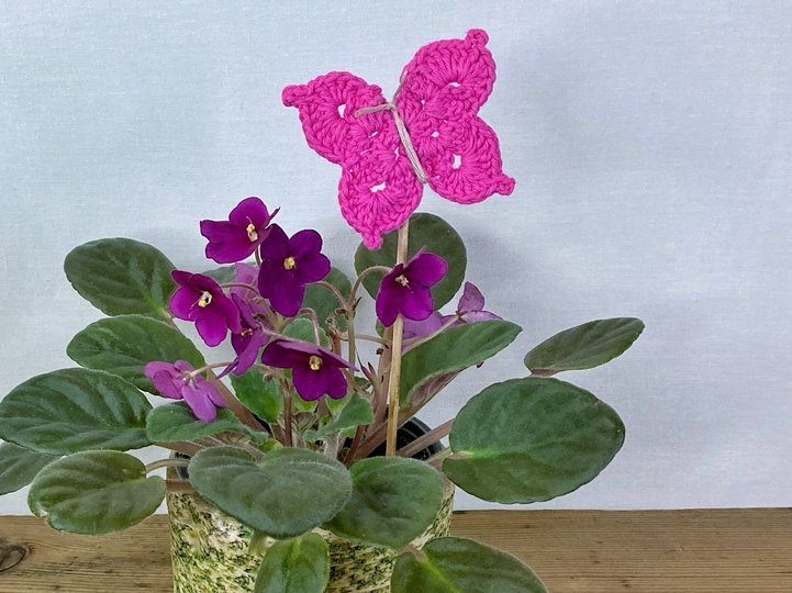 Schmetterling Aura, kostenlose Häkelanleitung