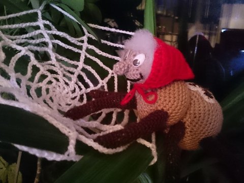 Hulda die kleine Kreuzspinne