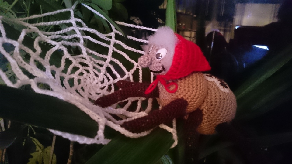 Hulda die kleine Kreuzspinne