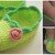 Free crochet pattern " Baby ballet slippers" Size 6, 15-18 month