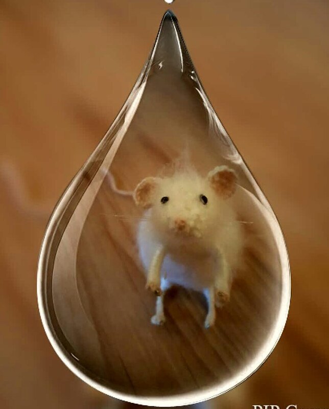 Maus Häkelanleitung PDF - Bild 2