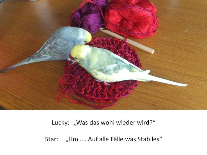 Allround Netztasche zum Häkeln