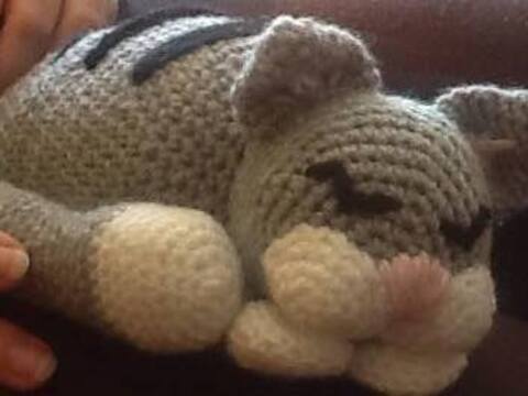 Schlafendes Kätzchen