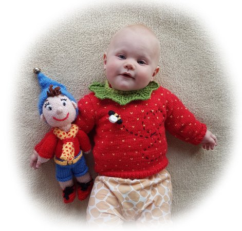 Strawberry Sweater Jumper (3 mths to 4 yrs)