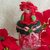 Häkelanleitung Mrs. Poinsettia , kleines Weihnachtssternchen / Dekobezug für Marmeladenglas/ Deckelbezug für Bonbonglas