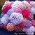 Coral reef cushion knit/crochet pattern 035