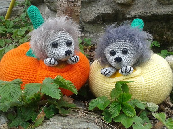 Crochet Pattern "Hedgedog in Pumpkin"