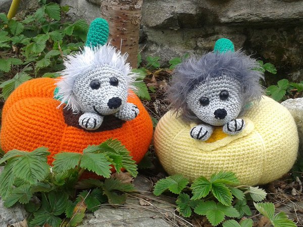 Crochet Pattern "Hedgedog in Pumpkin"
