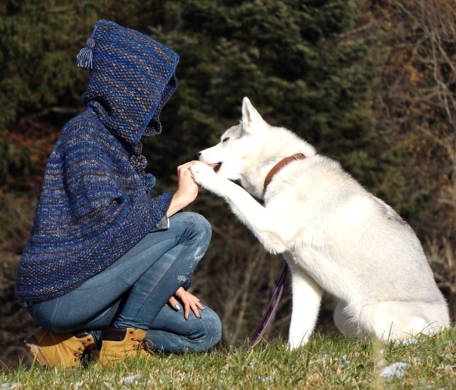 Strickanleitung Poncho "Brenta" - Bild 2