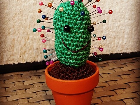 Kleiner grüner Kaktus