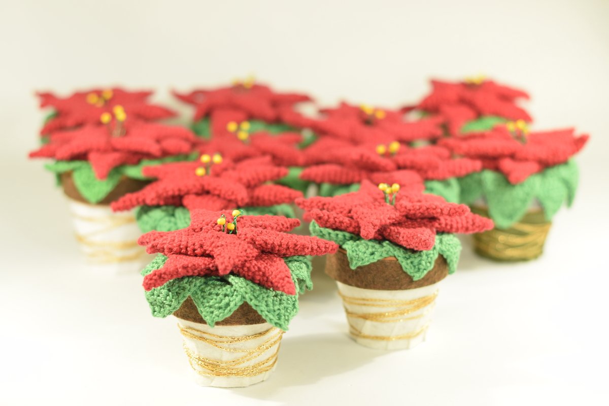 Haekelicious Weihnachtsstern Häkelanleitung