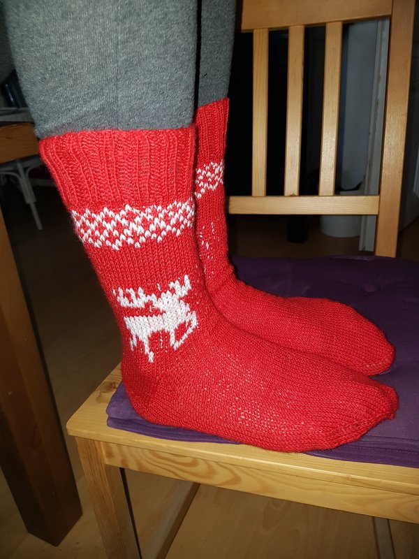 Detailansicht roter Stricksocken mit weißer Rentier-Bordüre und geripptem Schaft