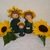 Herbstlinge Sonnenblumen Familie - Häkelanleitung