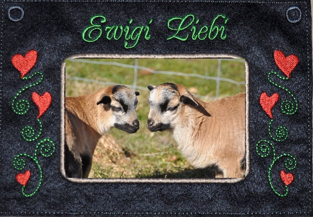Bestickter Rahmen mit zwei Lämmern, roten Herzen, grünen Ranken und dem Schriftzug Ewig' Liebi