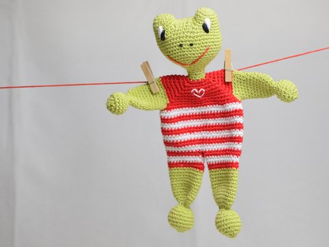 Mein allererster Kuschelfrosch