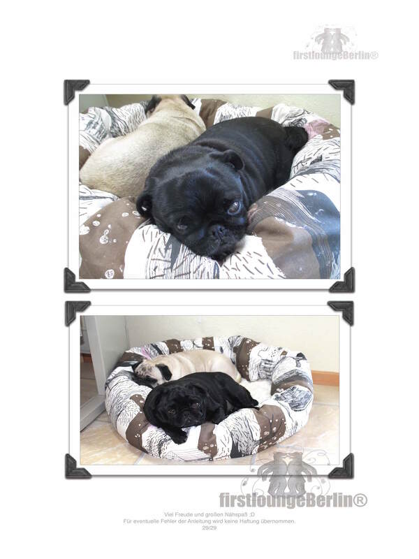 Daisy Bettchen für Hund &amp; Katze in 6 Größen XXS-XL Nähanleitung mit Schnittmuster auch für Nähanfänger DIY von firstloungeberlin