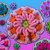 Lieblingsblume Meanderblume