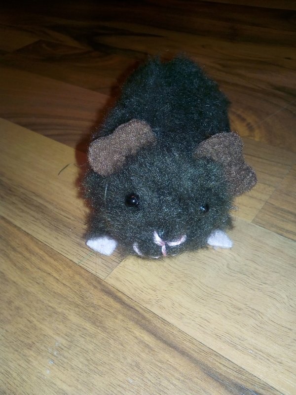 Plüschmeerschweinchen - Bild 6