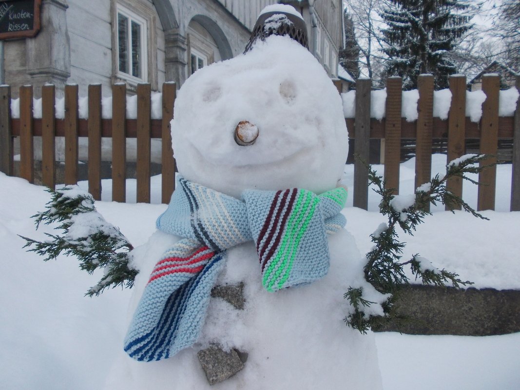 Schneemann mit mehrfarbigem Strickschal, Karottennase und Tannenzweigarmen.