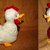 Huhn Cornelia, PDF-Anleitung