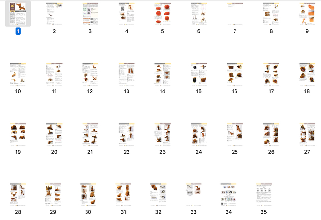 134 Crochet Pattern Dog Dachshund Genreh - Amigurumi PDF file by Chirkova Cp