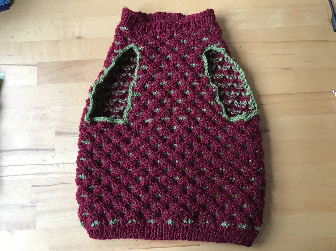 Gestrickter Hundepullover dunkelrot mit grünen Kanten, Strukturmuster und Armausschnitten, flach auf Holzuntergrund gelegt