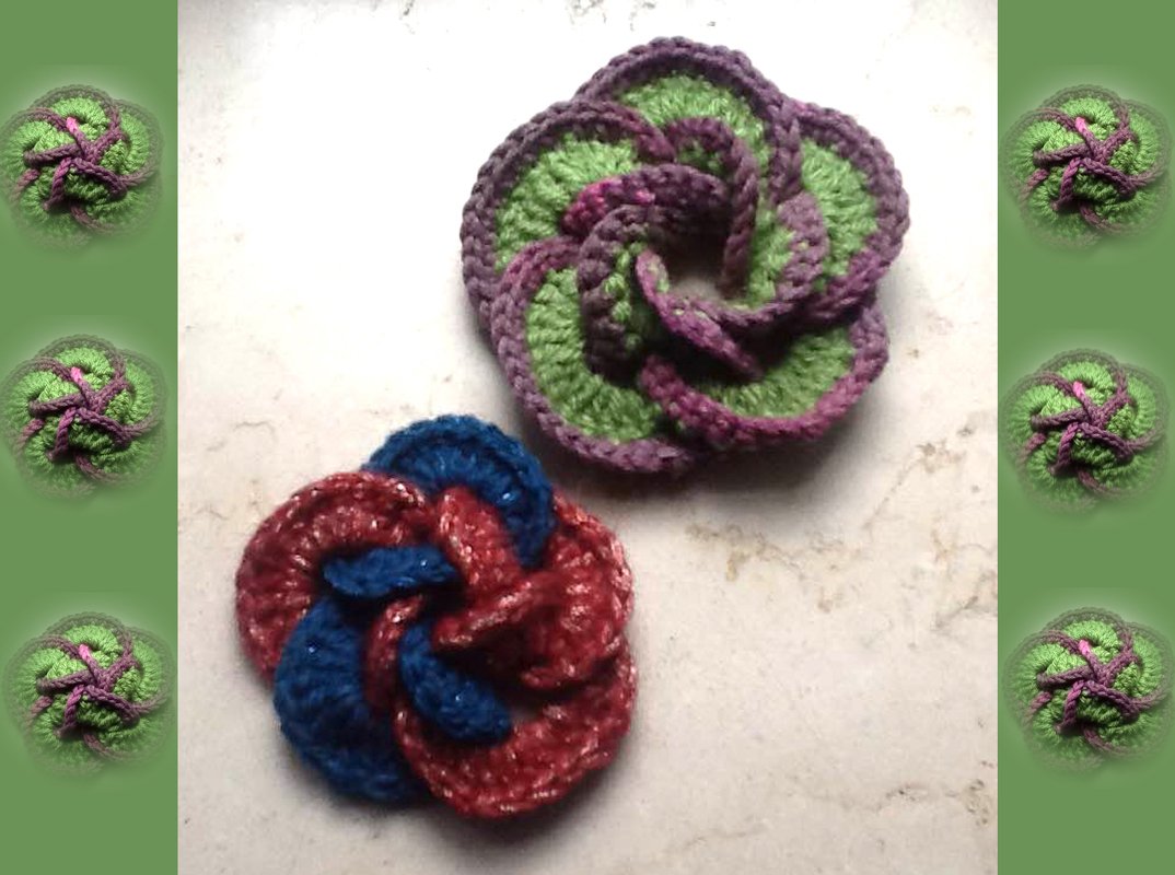 Schöne Drehblume, Blume