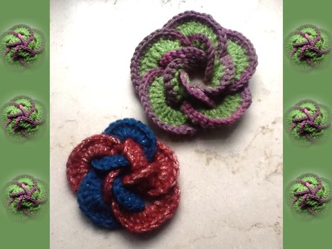 Schöne Drehblume, Blume