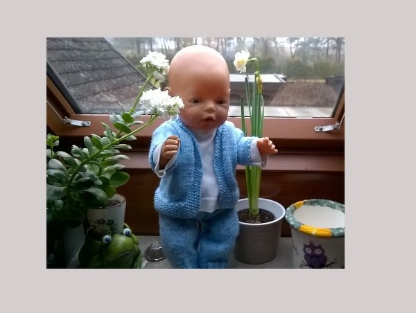 Schnell gestricktes Jäckchen für die Puppen