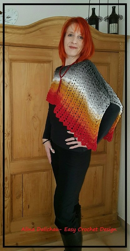 Phoenix Ponchotuch - Bild 3