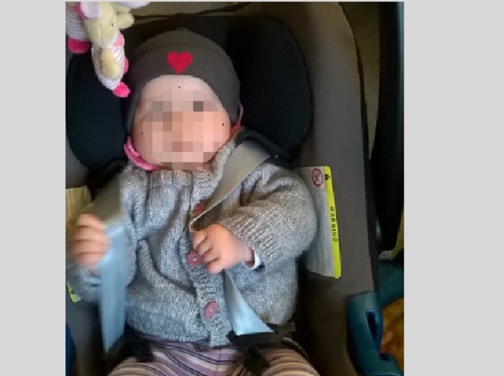 Raglan- Kurz- und Langarmjacke für kleine Katzenfans