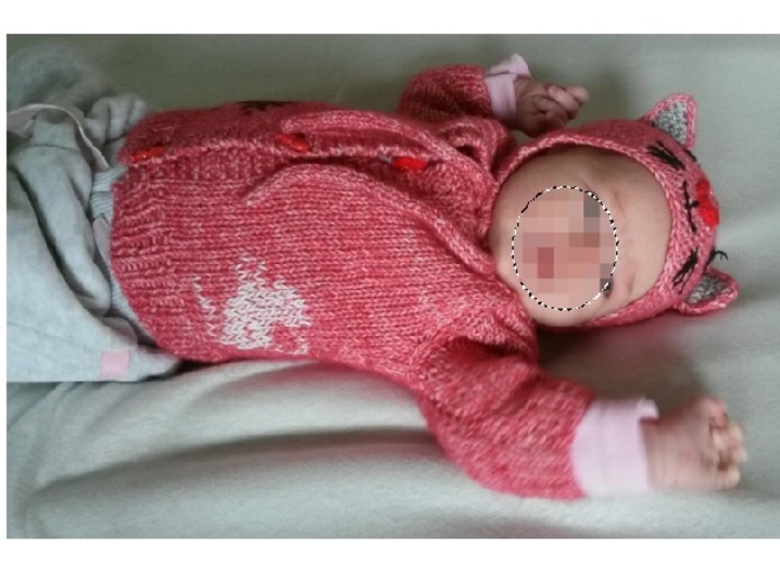 Raglan- Kurz- und Langarmjacke für kleine Katzenfans