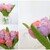 Immer frische Tulpen - Strickanleitung
