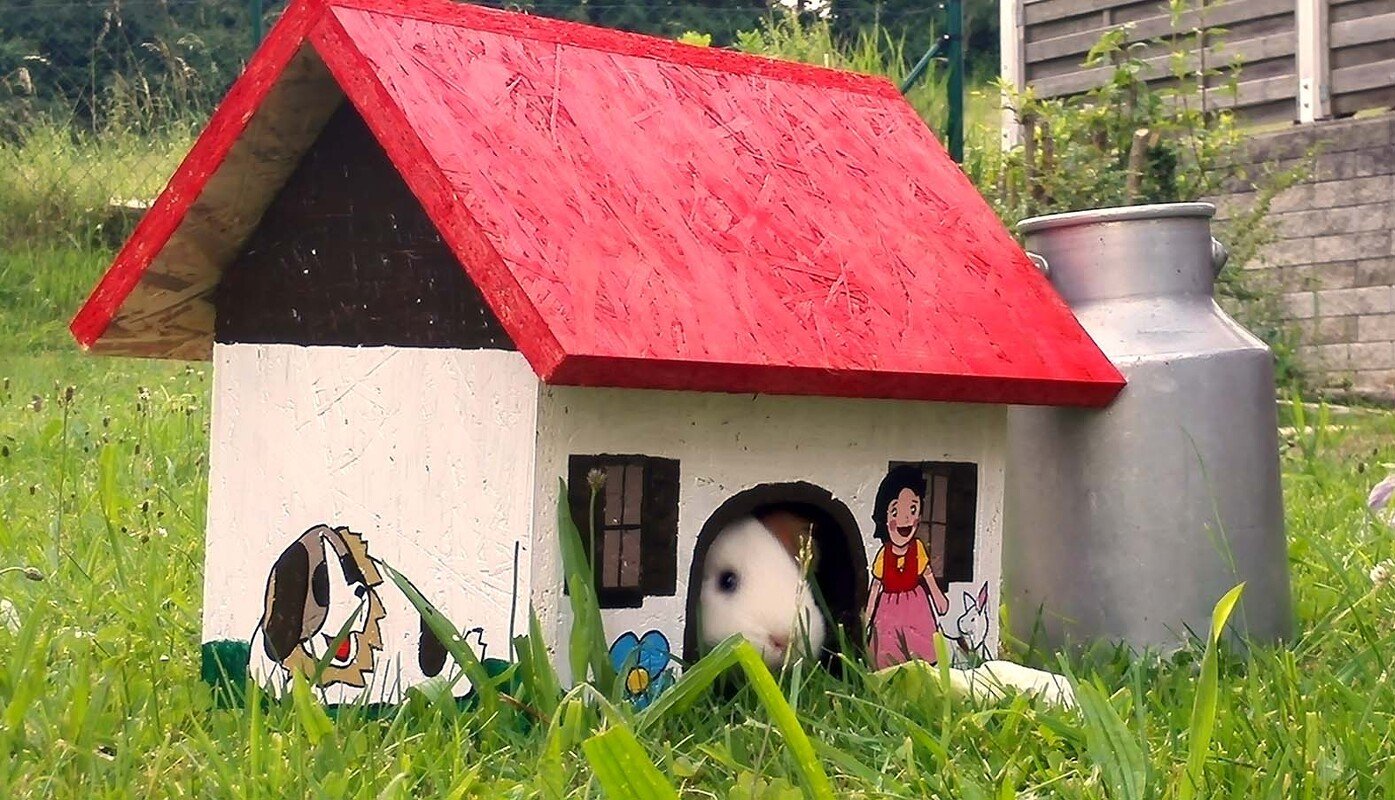 Bin Zuhause Häuschen für Meerschweinchen