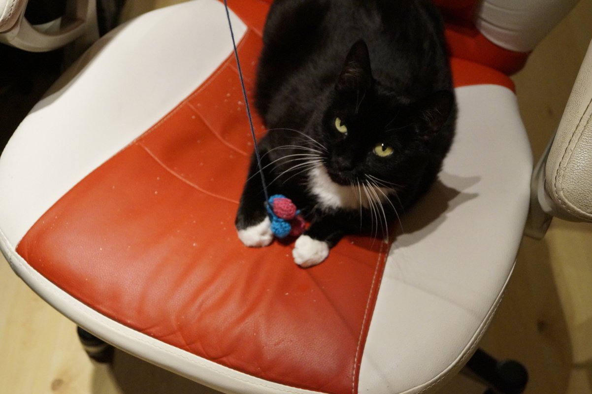 Katzenspielzeug häkeln