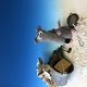 Slide 2 von 6