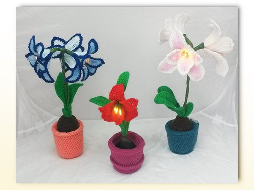 Leuchtende Amaryllis - Häkelanleitung