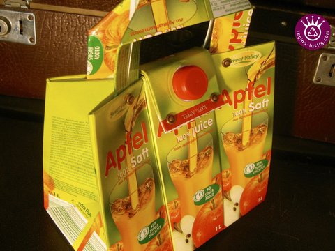 Taschen aus Getränkekartons, Upcycling