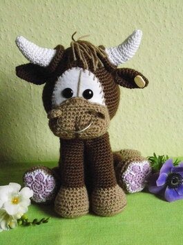 Baby Stier Thomas - Bild 3